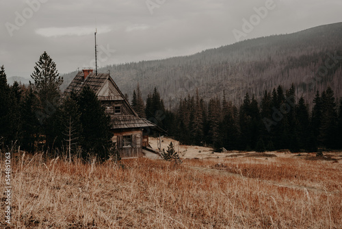 wooden hut in the mountains