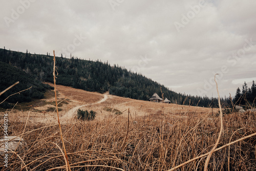 Fototapeta Naklejka Na Ścianę i Meble -  path in the mountains, autumn