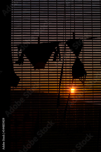 Bild auf Leinwand bikini at the sunset