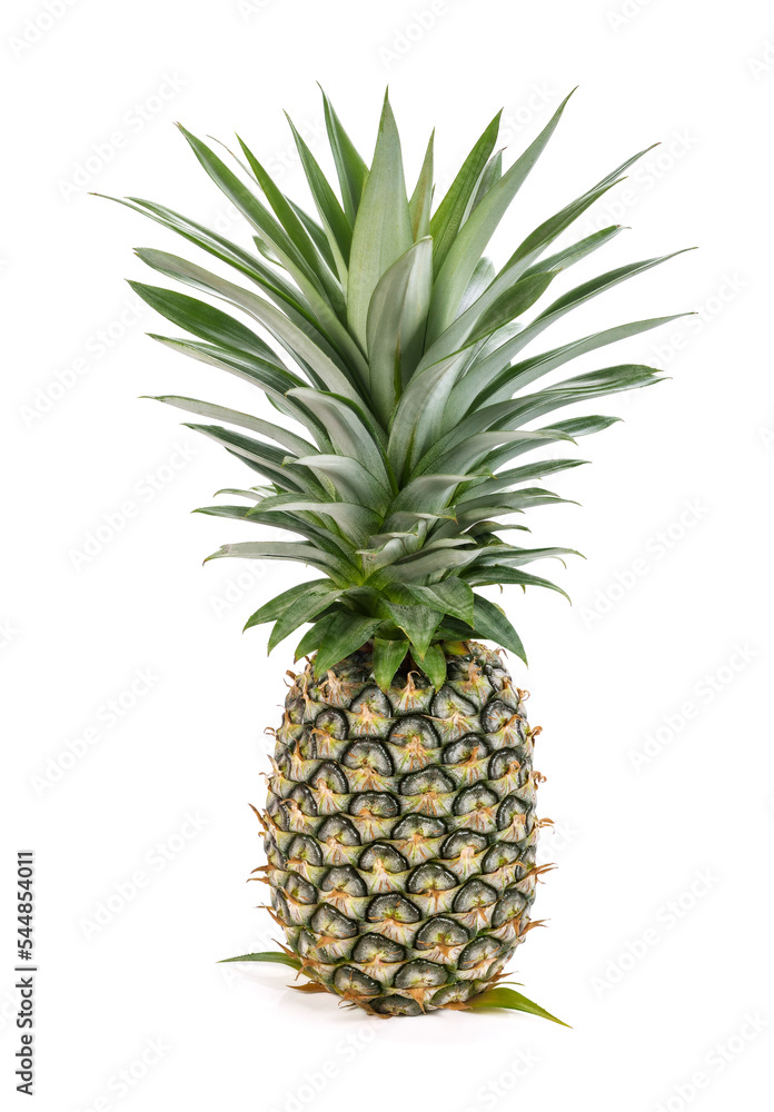 pineapple isolated on a white background pineapple isolated on a white background