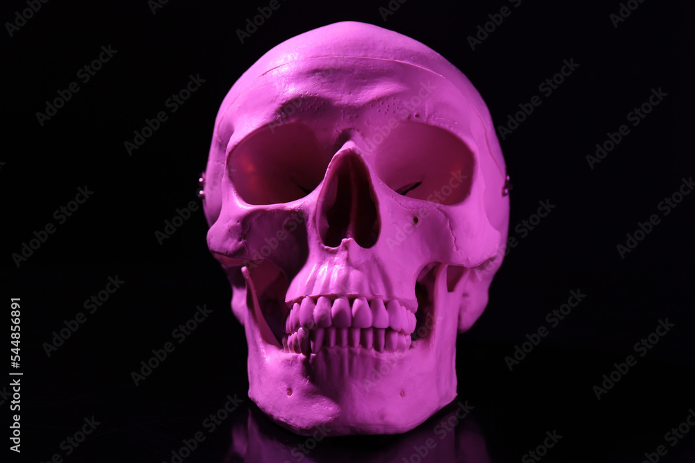 White human skull with teeth on black background White human skull with teeth on black background