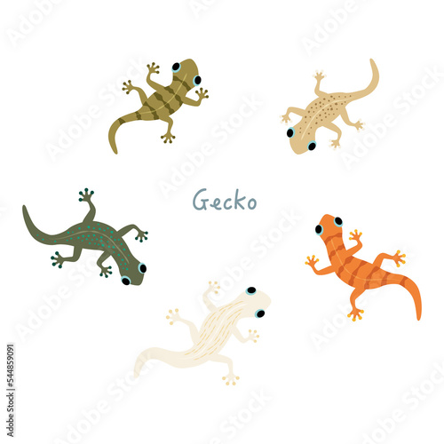 Cute gecko illustration set