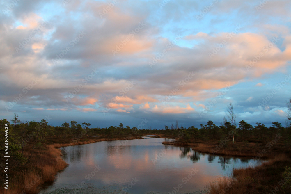 Beautiful cloudy sky above a lake on a marsh with pines around. Selective focus Beautiful cloudy sky above a lake on a marsh with pines around. Selective focus