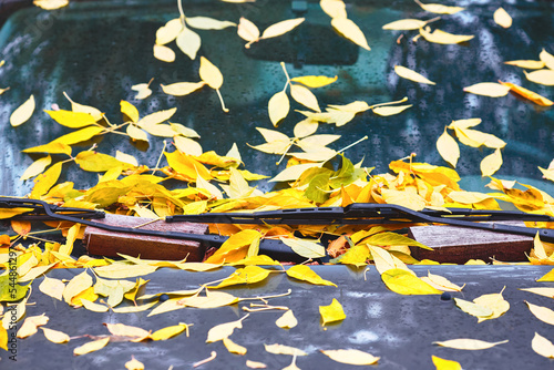 Yellow leaves fall under the car. Car wipers on the windshield. Autumn concept