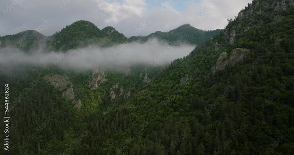 Towering Mountains Covered With Dense Thicket In Borjomi Nature Reserve, Samtskhe-Javakheti, Lesser Caucasus, Georgia. Aerial Shot Towering Mountains Covered With Dense Thicket In Borjomi Nature Reserve, Samtskhe-Javakheti, Lesser Caucasus, Georgia. Aerial Shot