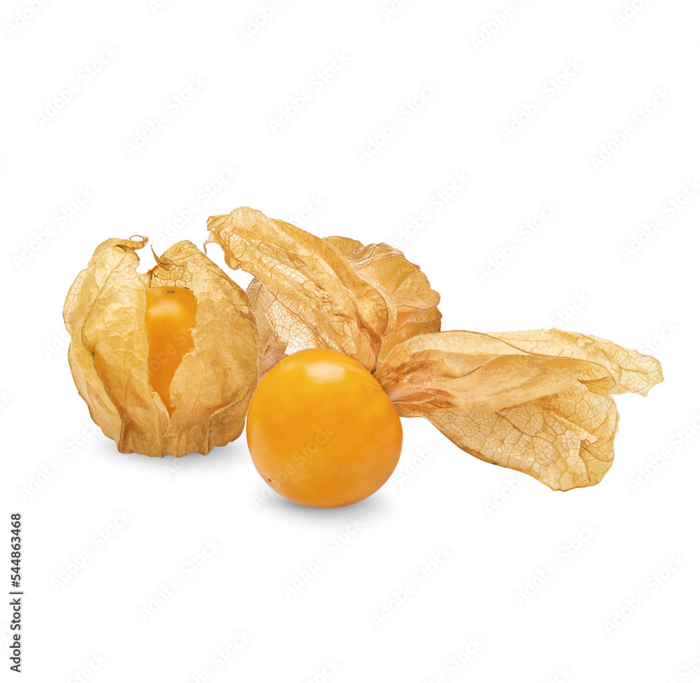 Cape gooseberry, physalis isolated on transparent background. (.PNG) Cape gooseberry, physalis isolated on transparent background. (.PNG)