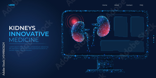 Digital 3d low poly model of a human kidney. Concept treatment of pyelonephritis and urolithiasis. Abstract background vector illustration.