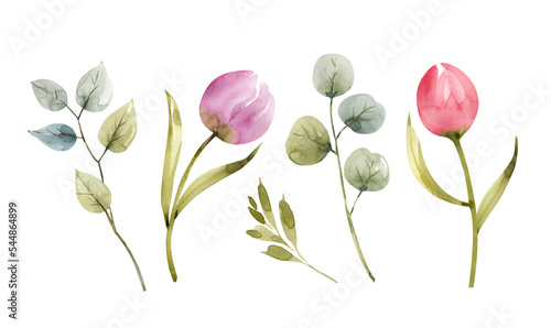 Fotografia tender spring flowers and plants, watercolor illustration set.