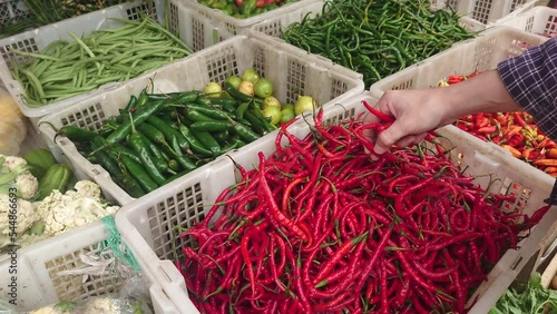 Hand pick vegetables in the market. Close-up of women hand picking red chili in a row of fresh seasoning stalls in a fresh market. 