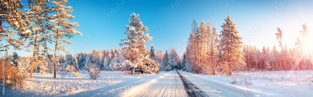Fototapeta premium Snowfall on the snowy road in the natural park in winter.