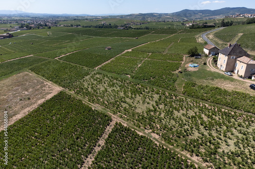 Aerial view on vineyards and villages near Mont Brouilly, wine appellation Côte de Brouilly beaujolais wine making area along Beaujolais Wine Route,  France photo