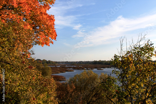 Golden autumn, scenery with blue sky and a river. Selective focus