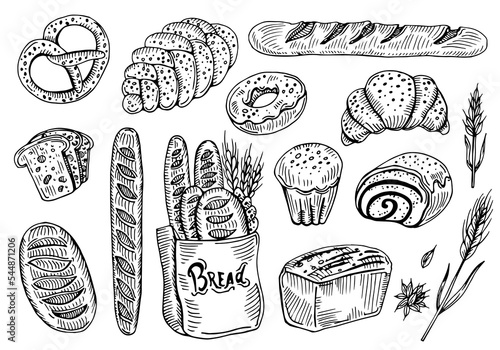 collection of natural elements of bread sketch vector illustration