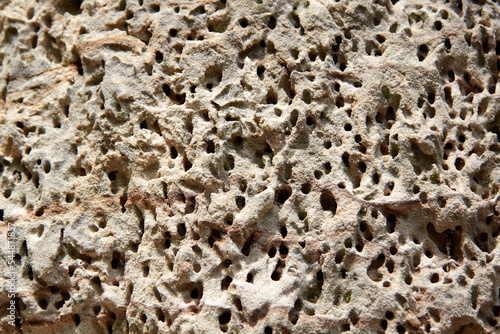 Obraz na plátně Wasp hive in the sandstone cliff. Selective focus