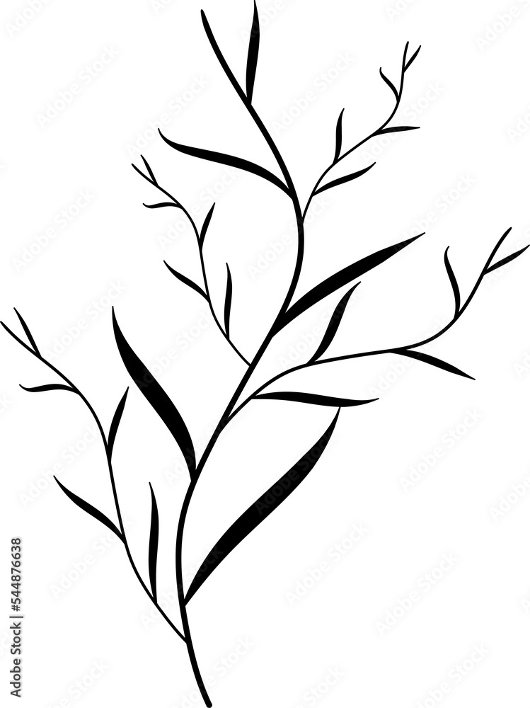 Fototapeta premium branch with leaves