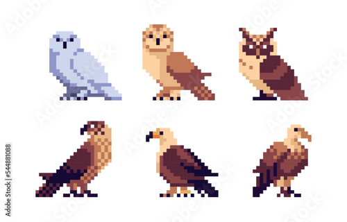 Birds of prey pixel art set. Vulture, owl, hawk collection. Carnivore species. 8 bit. Game development, mobile app.  Isolated vector illustration.
