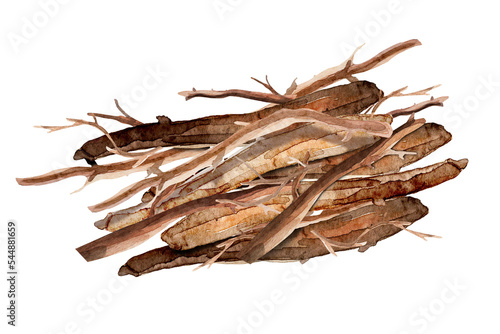 Bunch of twigs, wood firewood, brushwood watercolor isolated element. Template for decorating designs and illustrations.
