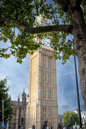The Parliament and Big Ben - the view is through the tree