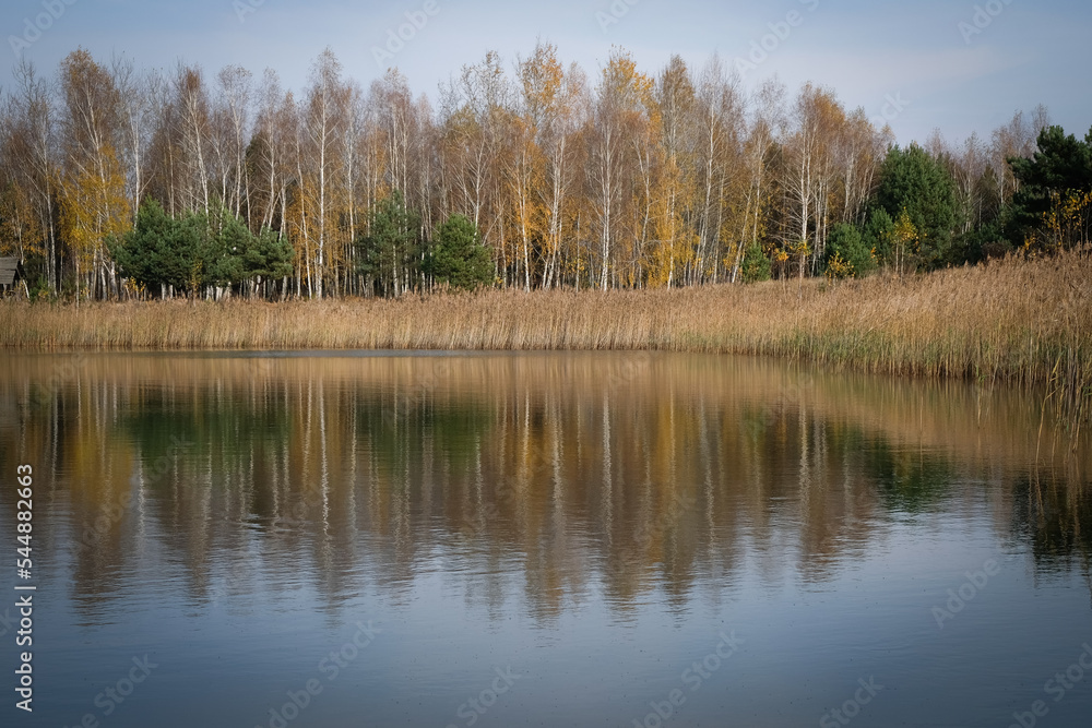 A deserted lake in the birch forest in Ukraine. The smooth mirror surface of the water.