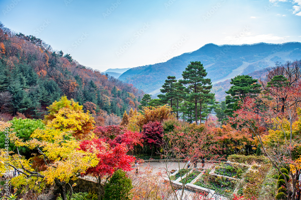 autumn in the mountains