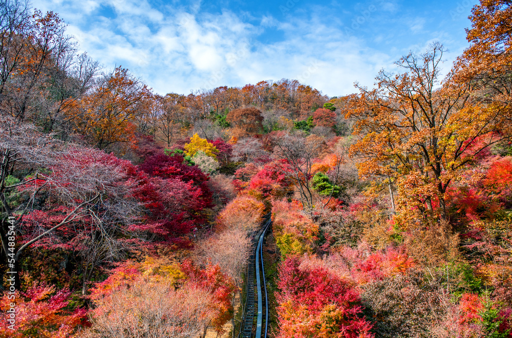 autumn landscape in the mountains