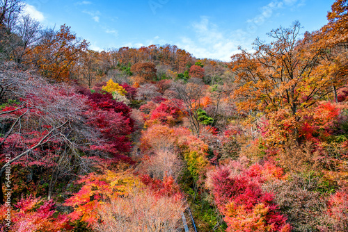 autumn landscape in the mountains