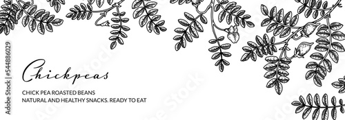 Hand drawn chickpeas botany background. Vector illustration in sketch style. Packaging design