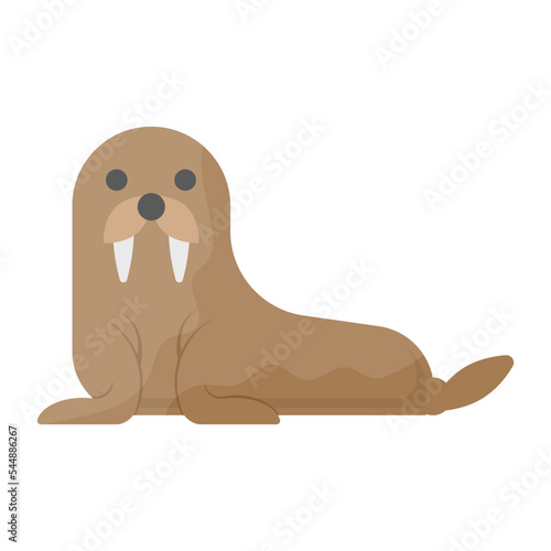 Walrus or earless seal Concept,  Elephant seals vector color icon design, Winter Season Element symbol, Snowboarding Equipment Sign, extreme sports stock illustration photo