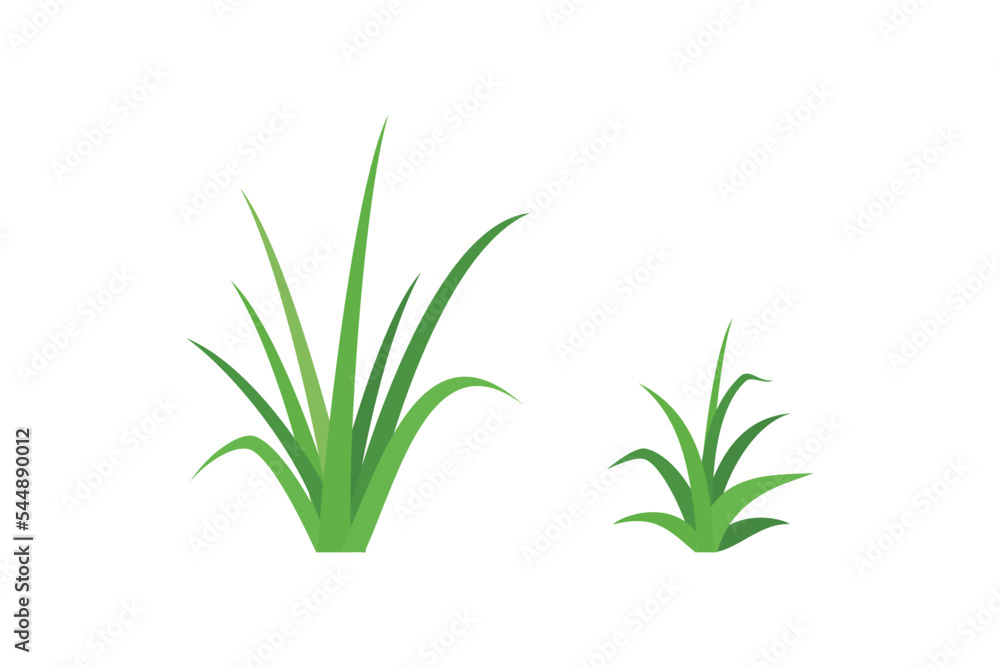 grass vector illustration design in flat style grass vector illustration design in flat style
