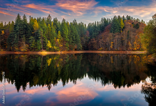 Mirrored autumn photo