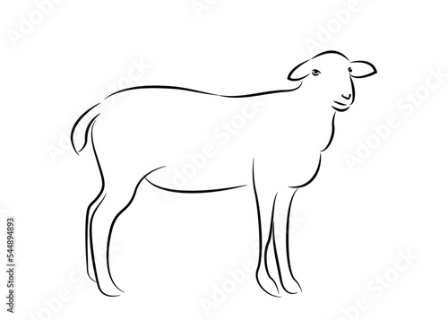 Line drawing of sheep. Vector illustration of sheep for logos at various events.