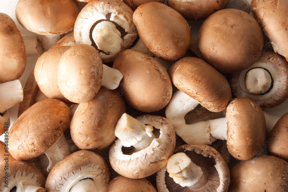 Brown cap champignons in different shapes and sizes close-up top view