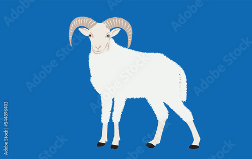 sheep pattern, vector illustration of cute sheeps. Sheep standing. vector illustration of engraving sheep hands drawing.