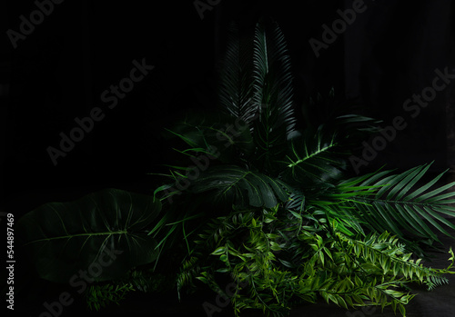 Bush of tropical leaves on dark background. Artificial plastic cloth realistic plants with copy space.