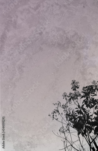 Shadow tree abstract art out color