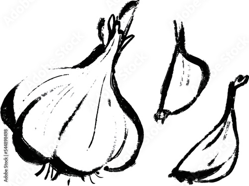 ニンニクのベクターイラストセット