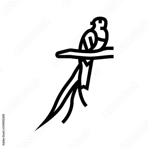quetzal bird exotic line icon vector. quetzal bird exotic sign. isolated contour symbol black illustration