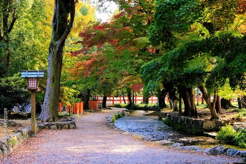 京都世界文化遺産の1つ「上賀茂神社（かみがもじんじゃ）」，絶景，秋，紅葉，名庭・文化財，京都，お寺, 風景, 旅行, 建築, 自然, 木, photo