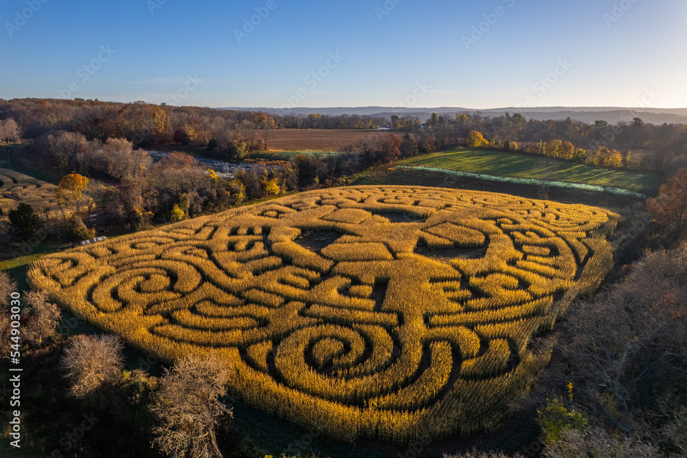 Drone shot of a corn maze