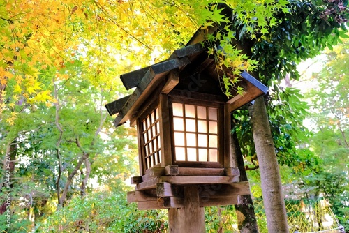 京都世界文化遺産の1つ「上賀茂神社（かみがもじんじゃ）」，絶景，秋，紅葉，名庭・文化財，京都，お寺, 風景, 旅行, 建築, 自然, 木,  © Yunzhendaoren1996