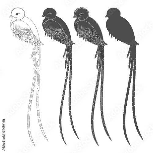 Set of black and white illustrations with a quetzal bird. Isolated vector objects on a white background.