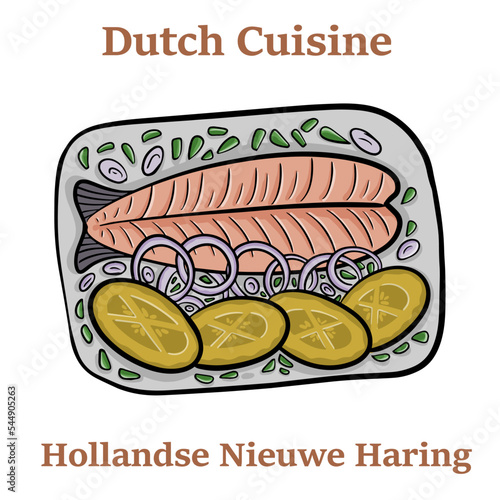 Freshly salted herring fish, traditional dutch delicacy called hollandse nieuwe on turquoise plate and white background.