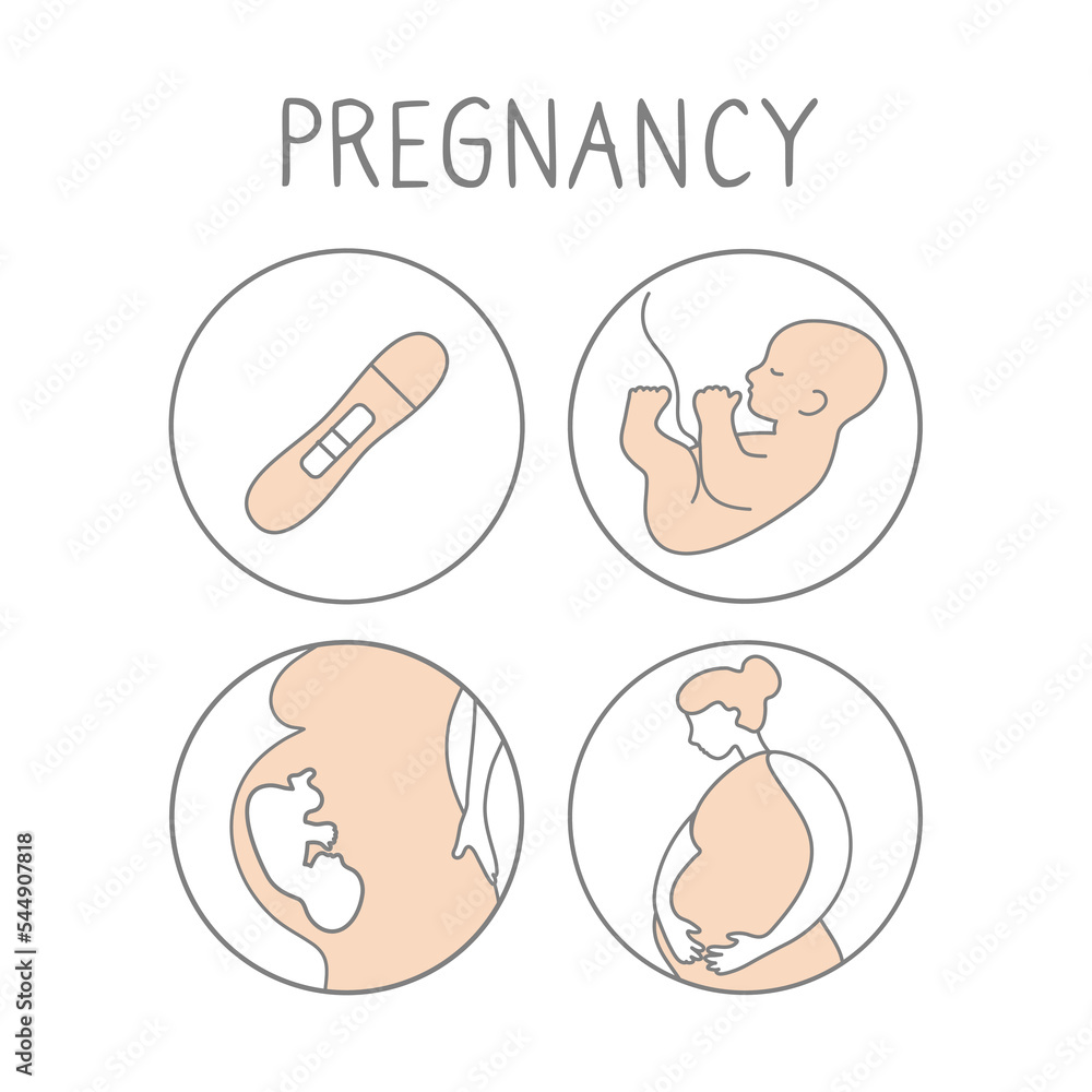 Pregnancy icon set. Linear simple illustration fertilization and childbirth. Motherhood signs. Vector Pregnancy icon set. Linear simple illustration fertilization and childbirth. Motherhood signs. Vector