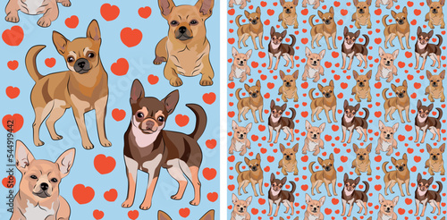 Seamless Chihuahua dog pattern, holiday texture. Packaging, textile, decoration, wrapping paper. Trendy hand-drawn funny breed wallpaper. Fun seamless Chihuahua square pattern with hearts.