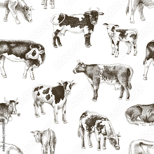 Seamless monochrome pattern with different cows