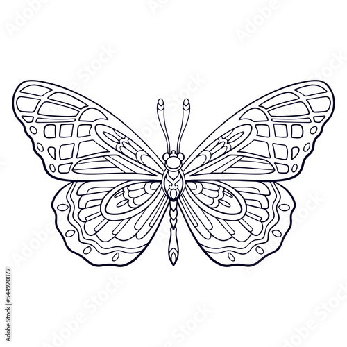 Beautiful butterfly mandala arts isolated on white background