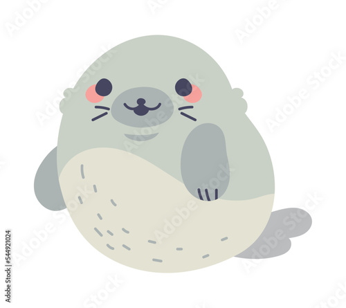 cute seal kawaii animal