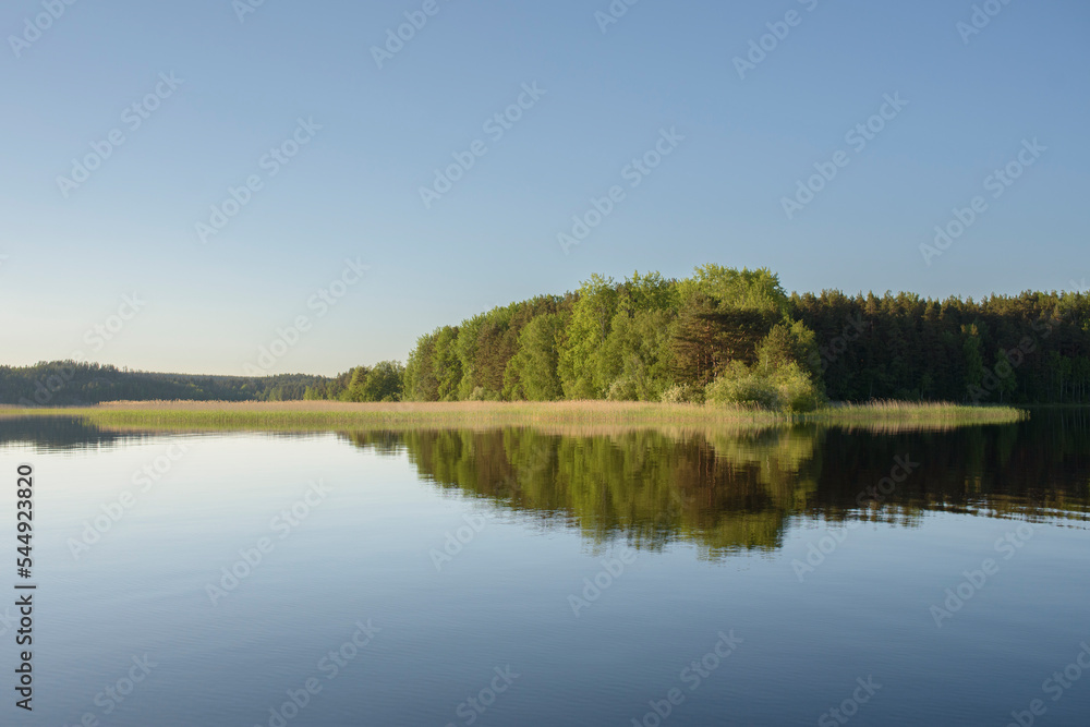 A peaceful landscape with a forest and a lake, mirrorlike water, symmetric reflections