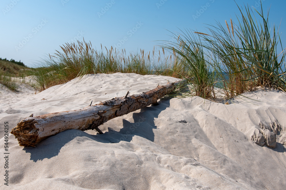 Konar na plaży nad morzem Bałtyckim  - obrazy, fototapety, plakaty 
