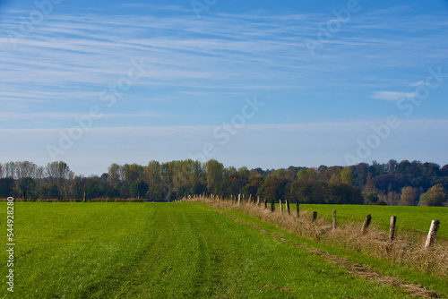 Landscape at Bislicher Insel photo